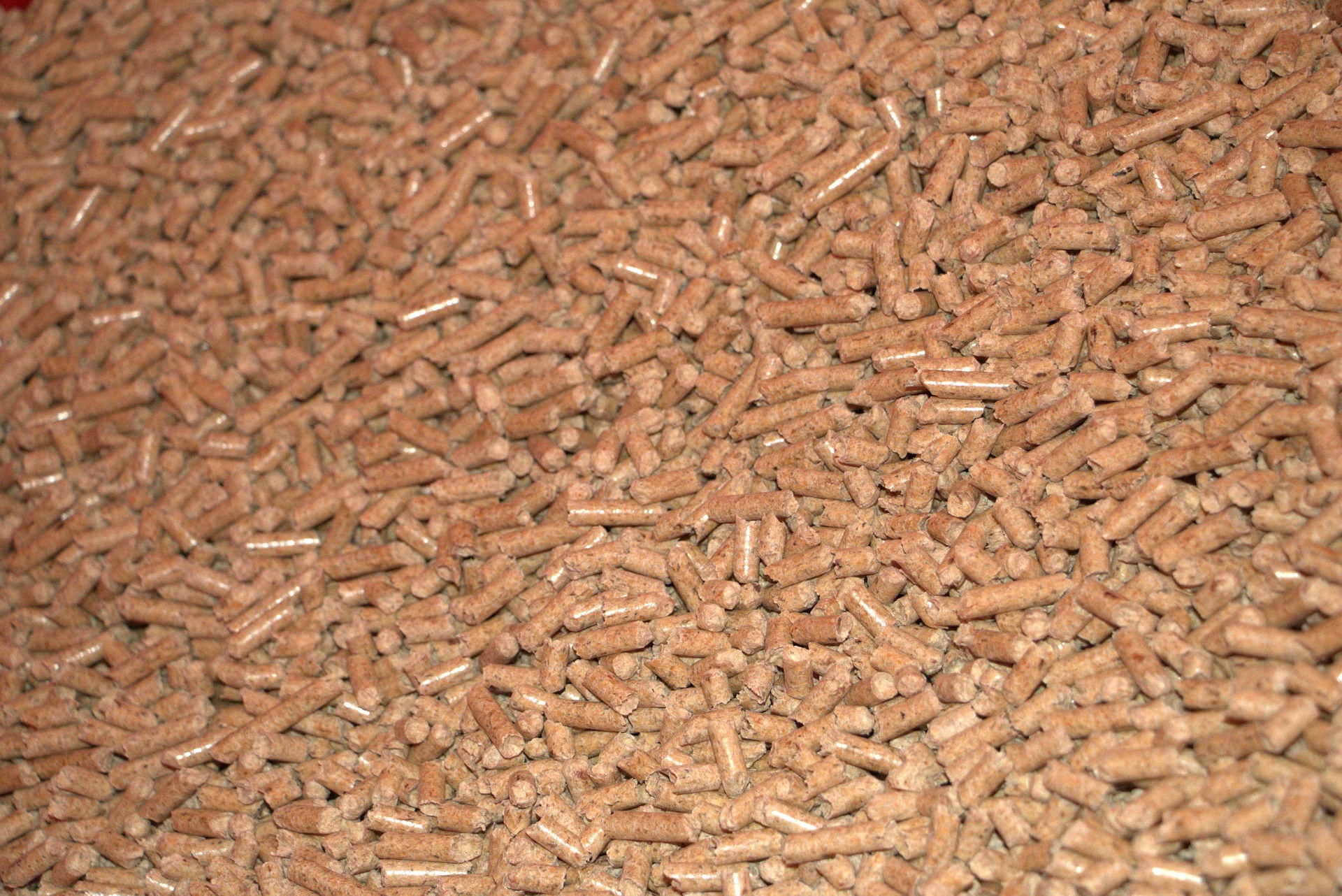 pellet
